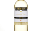 Antina Sauvignon Blanc,2016