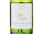 Benjamin Darnault Picpoul De Pinet,2016