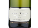 Camel Valley White Pinot Brut,2012