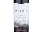 Castillo De Molina Reserva Carmenere,2014