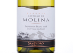 Castillo De Molina Sauvignon Blanc,2016