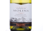 Castillo de Molina Chardonnay,2016