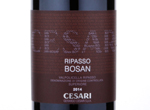 Valpolicella Ripasso Superiore "Bosan",2014