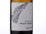 Tera Alta Pinot Grigio Valdadige,2016