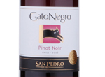 Gato Negro Pinot Noir,2015