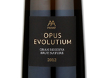 AA Opus Evolutium Gran Reserva,2012