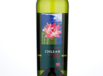 The Society's Chilean Limarí Sauvignon Blanc,2016