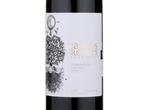 Campos Reales Selección,2015