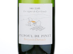 Picpoul de Pinet Benjamin Darnault,2016