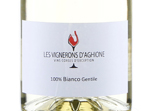 Vignerons d'Aghione Bianco Gentile,NV