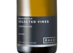 Selected Vines Pinot Gris,2019