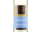 Andara Chilean Sauvignon Blanc,2016