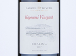 Riesling Kayoumi Vineyard,2017