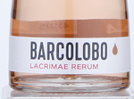 Lacrimae Rerum,2019