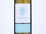 Venturina Gavi,2019