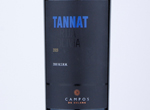 Tannat Varietal de Campos de Solana,2019