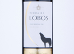 Terra de Lobos,2017