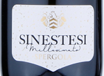 Sinestesi Spergola,2019