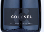 Valdobbiadene Prosecco Superiore Brut Prato Scuro,2019