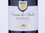 Domaine des Souchons Morgon Grands Cras,2019