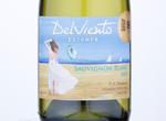 Estampa Del Viento Sauvignon Blanc,2020