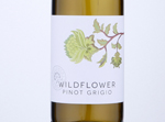 Wildflower Pinot Grigio,2020