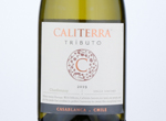 Tributo 'Single Vineyard' Chardonnay,2019