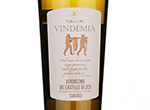 Vindemia Verdicchio Dei Castelli Di Jesi,2020