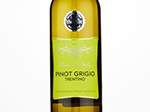 Morrisons The Best Trentino Pinot Grigio,2021