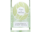 Vine & Bloom Garganega Pinot Grigio,2021