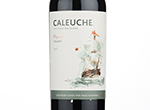 Caleuche Reserve Malbec,2019