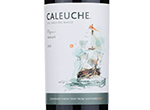 Caleuche Reserve Merlot,2020