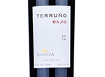 Vinaltura Terruño Bajío,2019