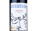 Animus Douro,2019