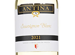 Antina Sauvignon Blanc,2021