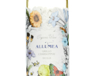 Allumea Grillo Chardonnay Sicilia Organic,2022