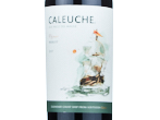 Caleuche Reserve Merlot,2022