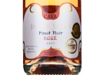 Cava Jaume Serra Pinot Rose,NV