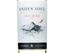 Andes Soul Pinot Grigio,2022