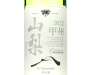 Chanmoris G.I. Yamanashi Koshu,2022