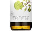 Wildflower Pinot Grigio,2021