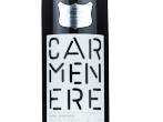 Tesco Finest Puemo Carmenere,2020