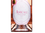 Amicale Pinot Grigio Blush,2023