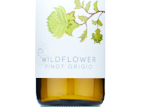 Wildflower Pinot Grigio,2023