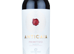 Anticaia Primitivo,2023