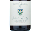 Bourgogne Pinot Noir Sieur Aubry,2023