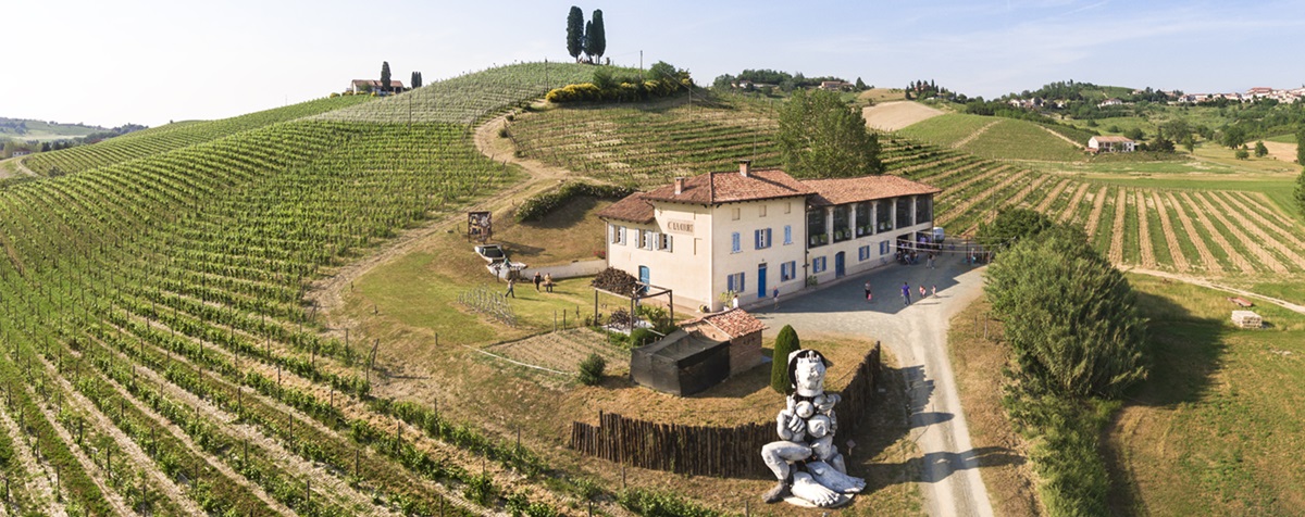 What next for the Michele Chiarlo winery?