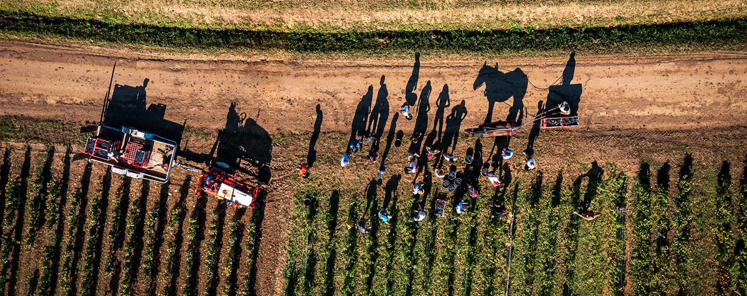 World’s Best Wine Photographs 2024