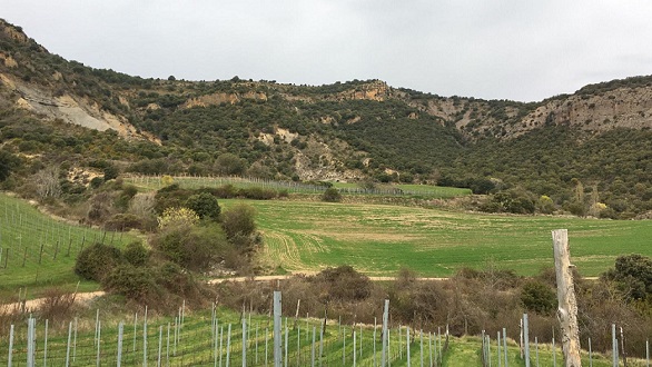 Wine by the winery Castell D'Encús.