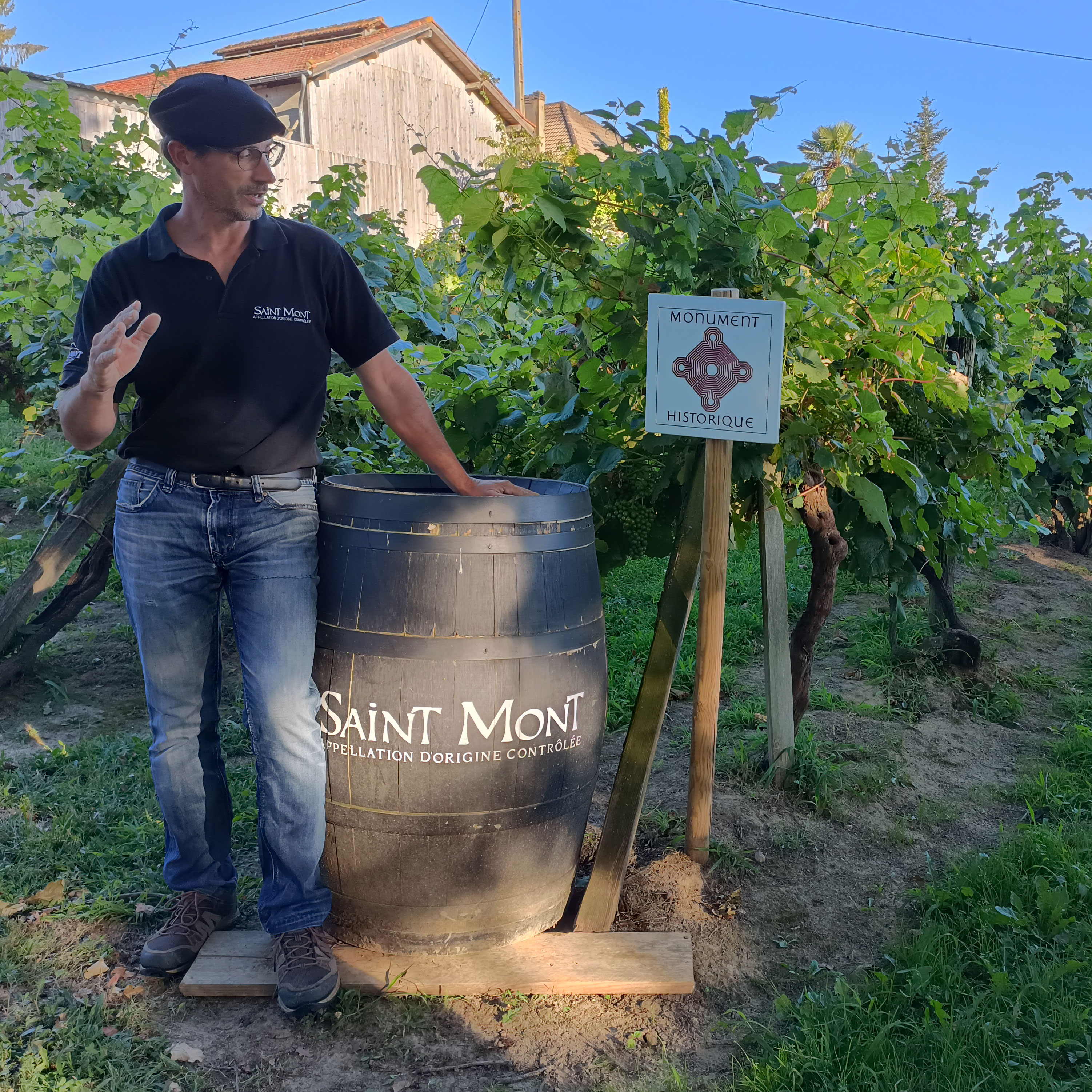 Read between the vines: Chat with Moet Hennessy's Philippe Schaus